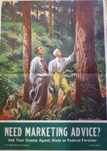 Virginia Forest Marketing Poster